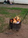 Thumbnail sommerrodeln-2009-039.jpg 