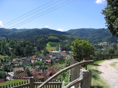 Scaled image IMG_0802.JPG 