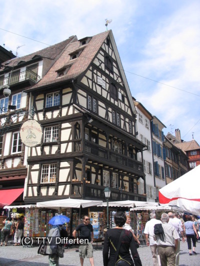 Scaled image IMG_0847.JPG 
