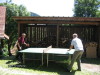 Thumbnail IMG_0827.JPG 