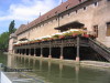 Thumbnail IMG_0840.JPG 