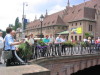 Thumbnail IMG_0852.JPG 