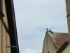 Thumbnail vf2011-eguisheim-3.jpg 