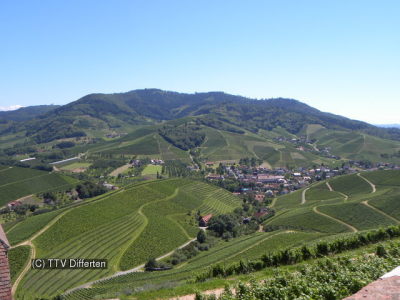 Scaled image vf2011-staufenberg-1.jpg 