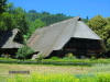 Thumbnail vf2011-vogtsbauernhof-5.jpg 